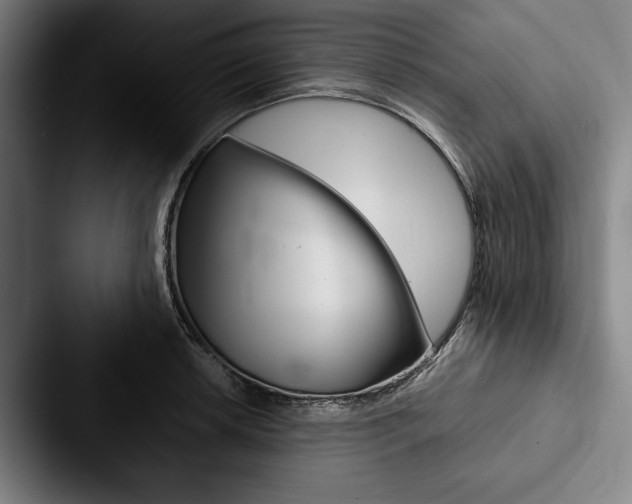 X0000088061042200705110910