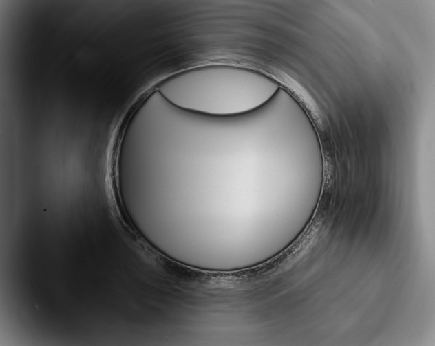 X0000088061043200705110910