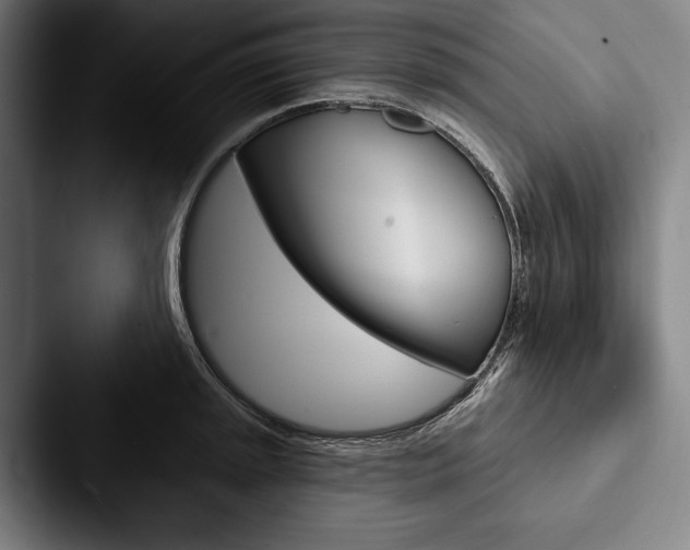 X0000088061045200705110910
