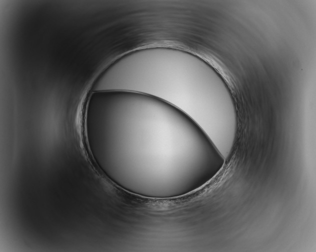 X0000088061046200705110910
