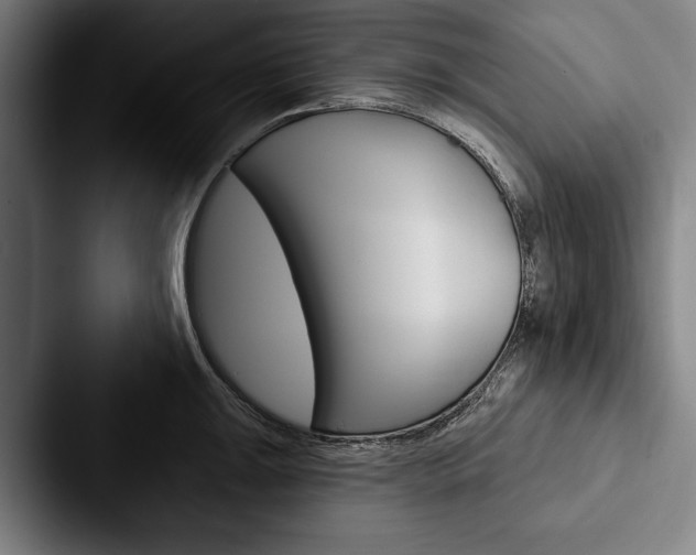 X0000088061047200705110910