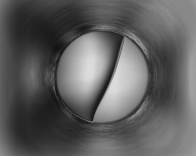 X0000088061049200705110910