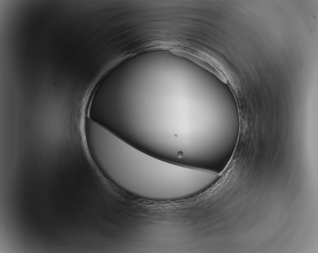 X0000088061050200705110910