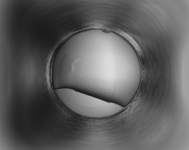 X0000088061051200705110910