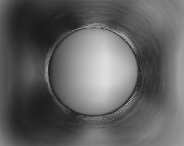 X0000088061054200705110910