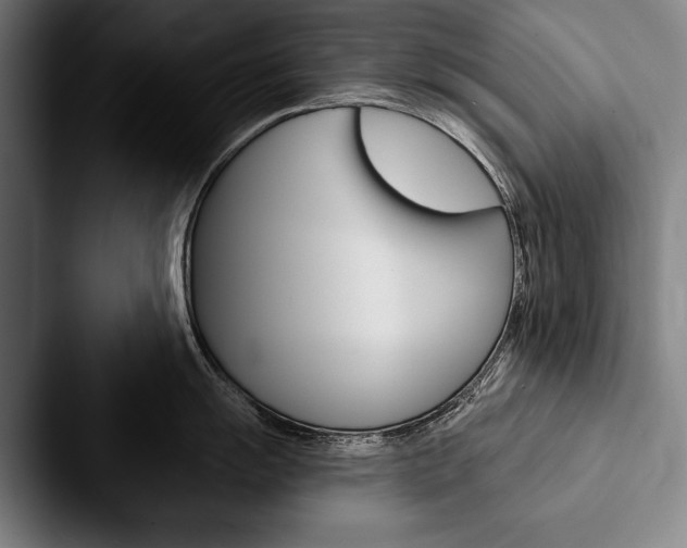 X0000088061055200705110910
