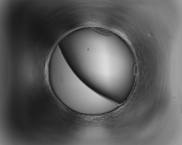 X0000088061056200705110910