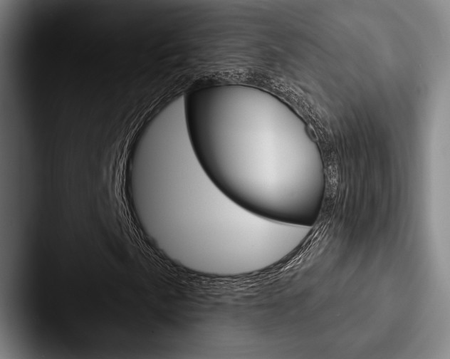 X0000088061057200705110909