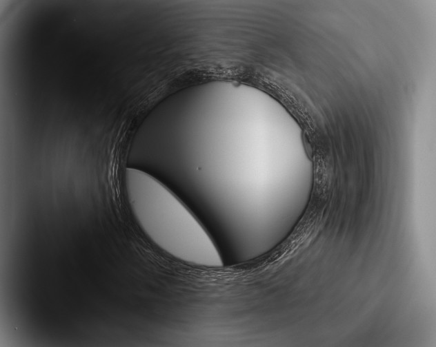 X0000088061058200705110909
