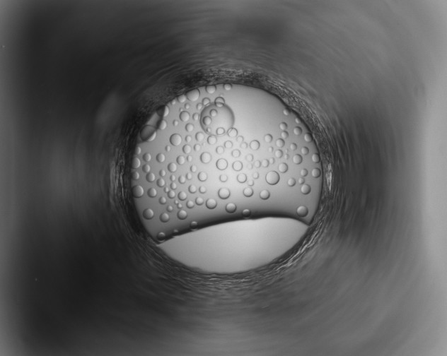 X0000088061059200705110909