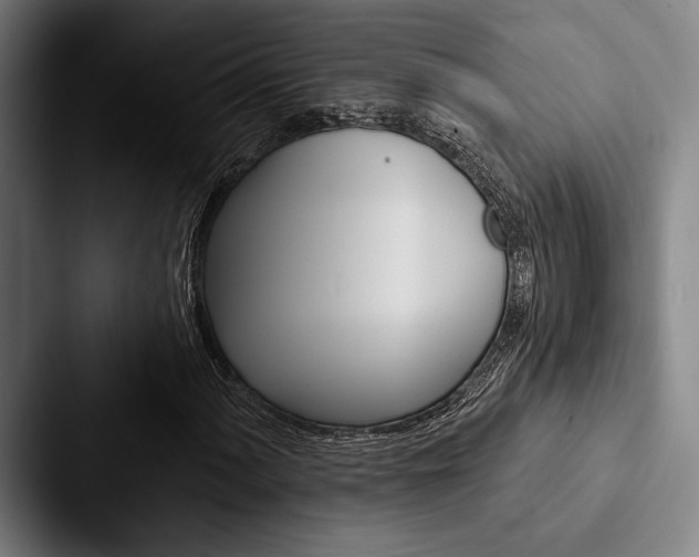 X0000088061060200705110909