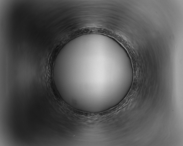 X0000088061062200705110909