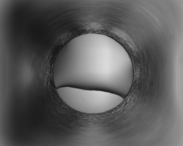 X0000088061063200705110909