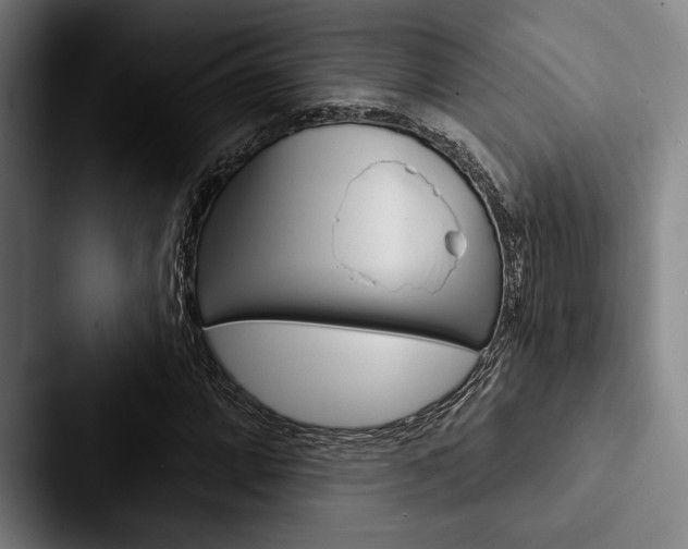 X0000088061064200705110909