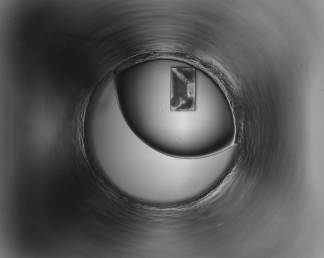 X0000088061065200705110909