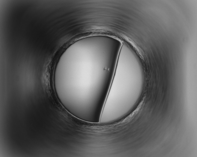 X0000088061066200705110909