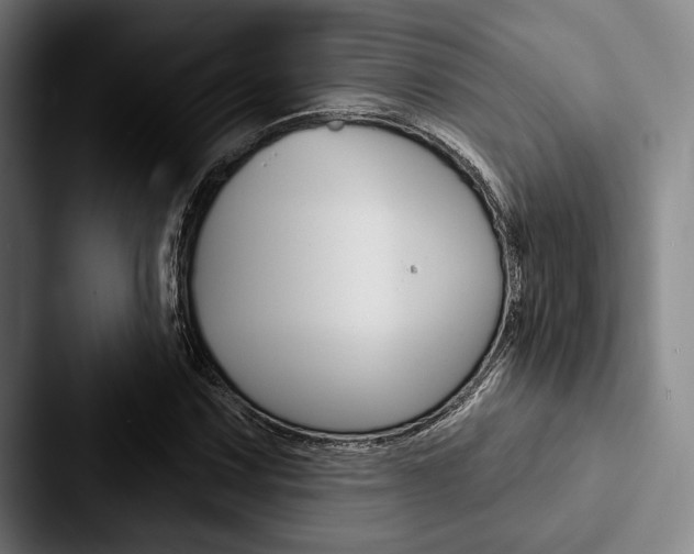 X0000088061067200705110909