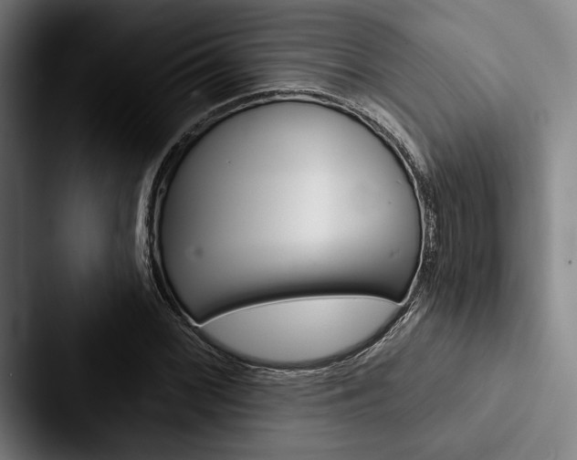 X0000088061068200705110909