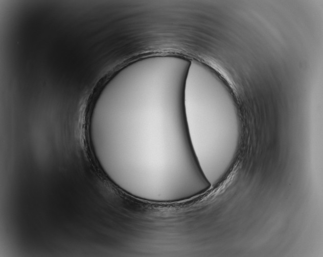 X0000088061071200705110909