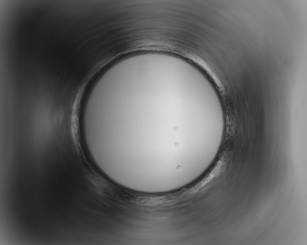 X0000088061074200705110909