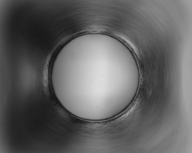 X0000088061075200705110909