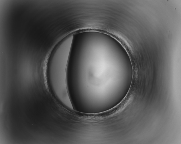 X0000088061077200705110909