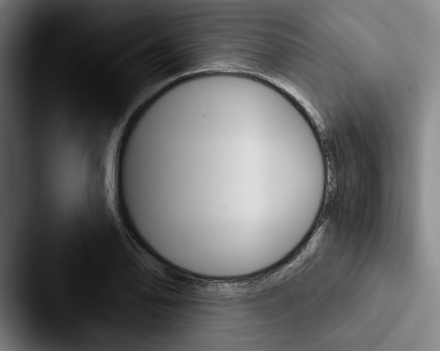 X0000088061078200705110909