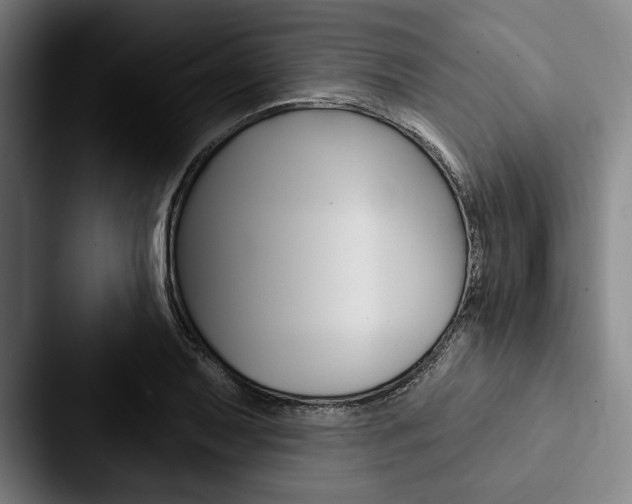 X0000088061079200705110909