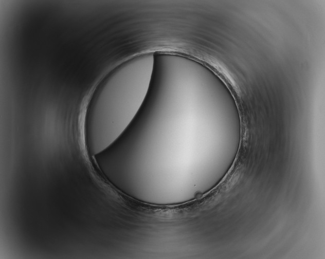 X0000088061080200705110909