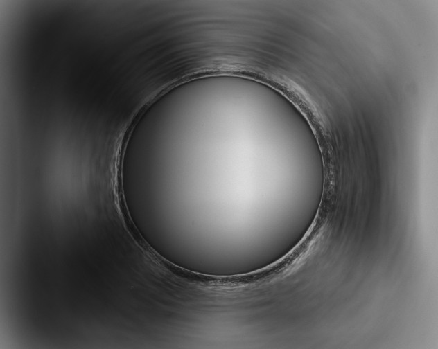 X0000088061081200705110909