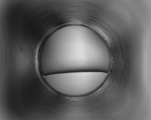 X0000088061084200705110909