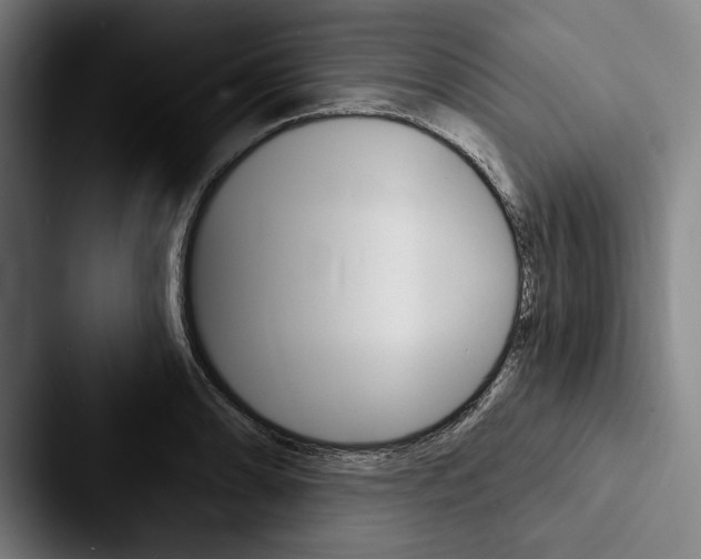 X0000088061086200705110909