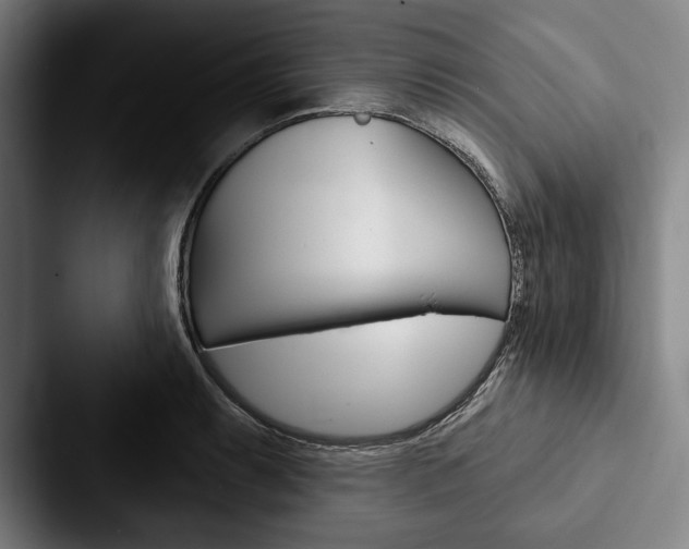 X0000088061087200705110909