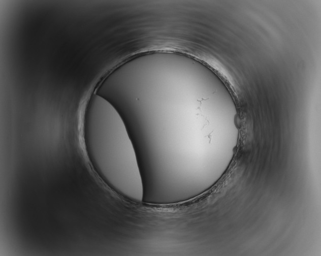 X0000088061088200705110909
