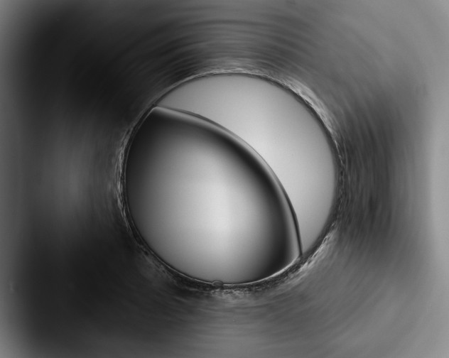 X0000088061089200705110909