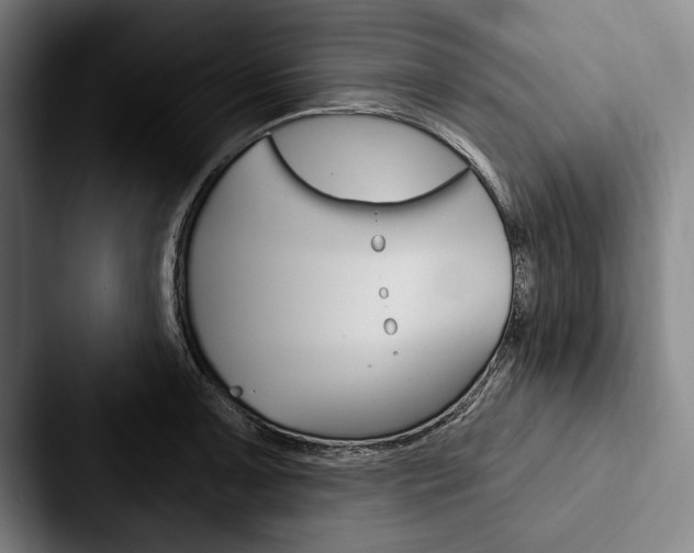 X0000088061091200705110909