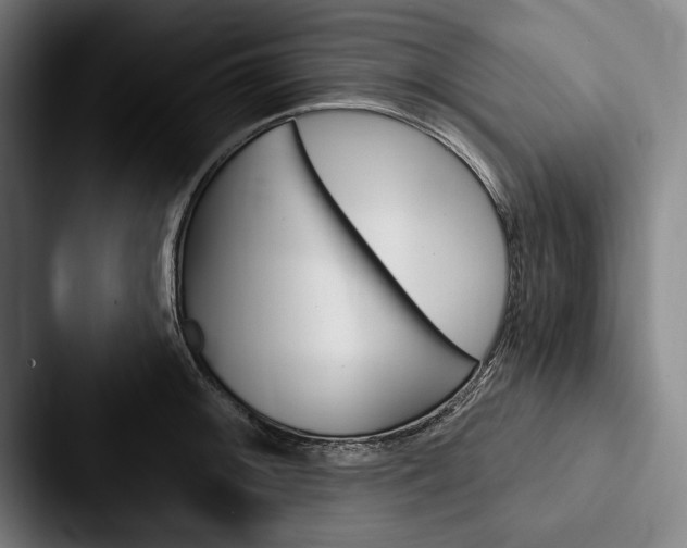 X0000088061092200705110909