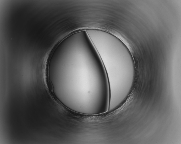 X0000088061093200705110909
