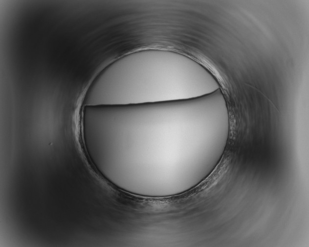X0000088061095200705110909