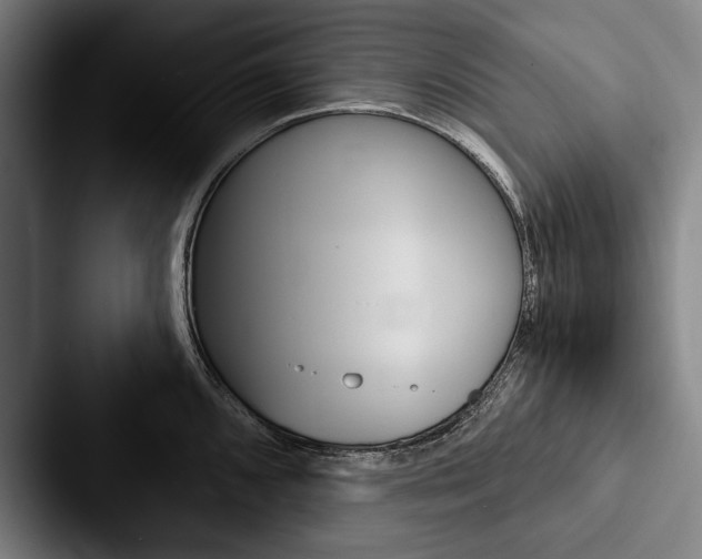 X0000088061096200705110909