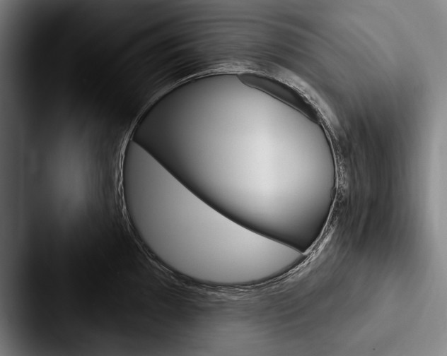 X0000088061097200705110909