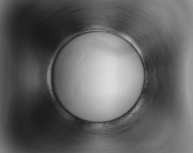 X0000088061098200705110909