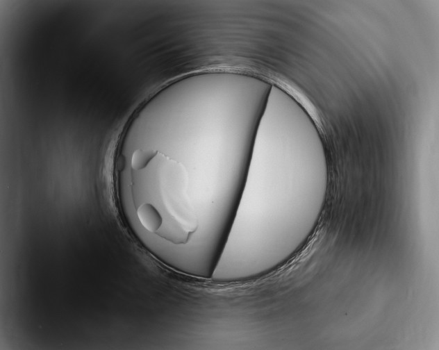 X0000088061099200705110909
