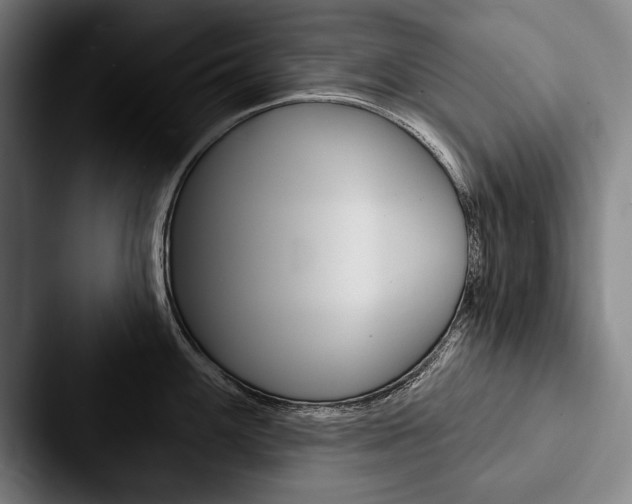 X0000088061100200705110909