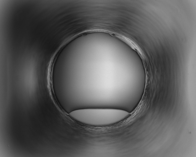 X0000088061101200705110909