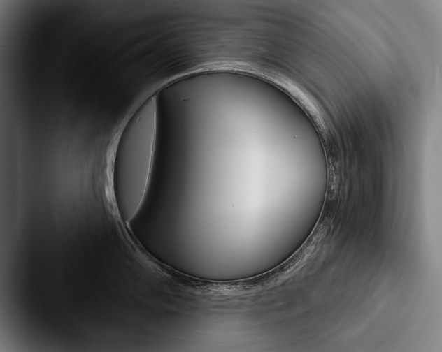 X0000088061102200705110909