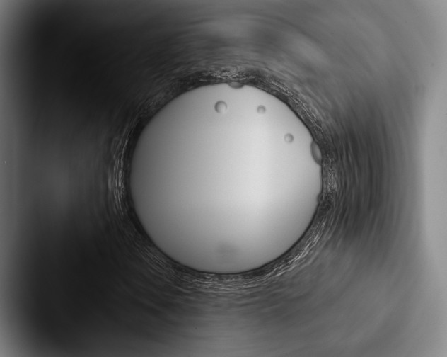 X0000088061106200705110908