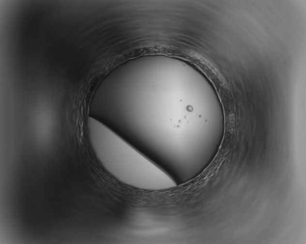 X0000088061111200705110908