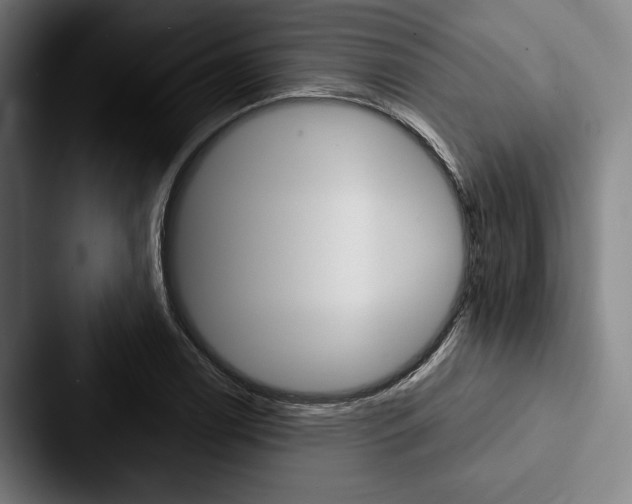 X0000088061122200705110908