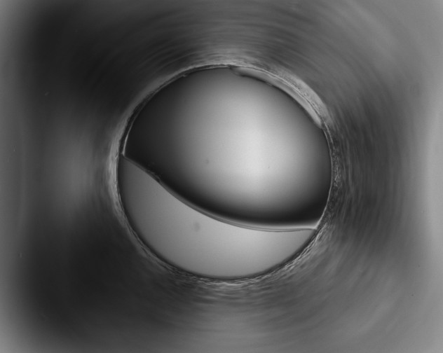 X0000088061144200705110908